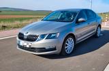 Skoda Octavia 1.6 TDI DSG Ambition Ambition - Skoda Octavia mit Diesel-Antrieb: Beige, mit Apple Carplay