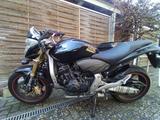 Honda CB 600FA Hornet - HONDA 2008 600 HORNET