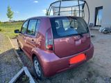 Daihatsu Sirion 1.0 - Klein, sparsam, zuverlässig! - Daihatsu Sirion aus 2005