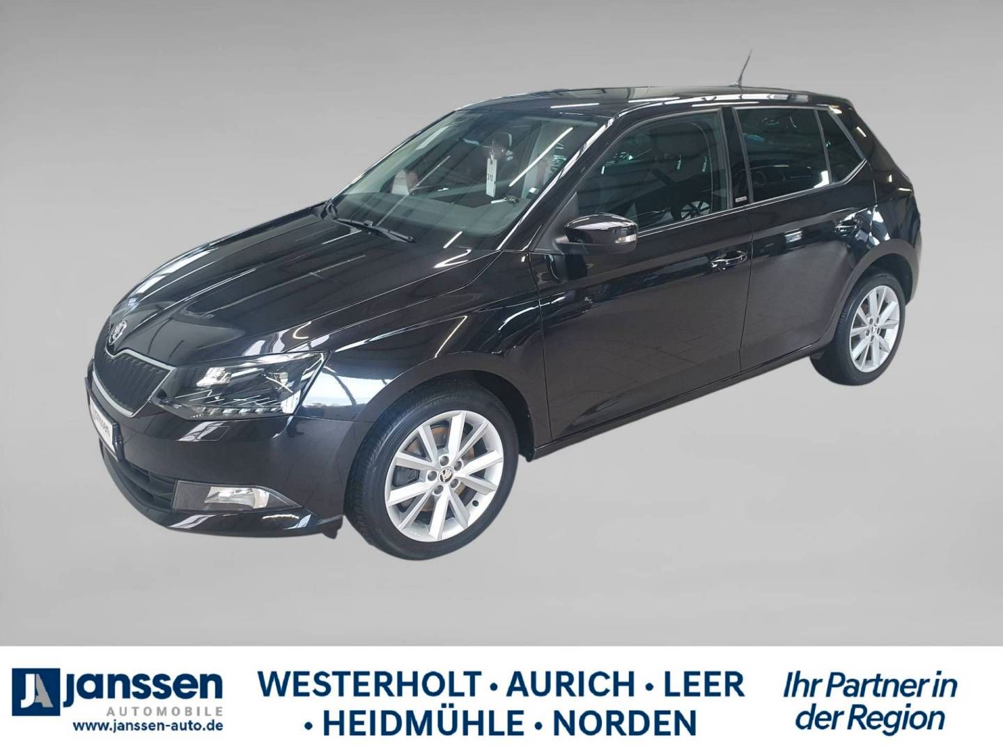 Fahrzeugabbildung SKODA Fabia Joy