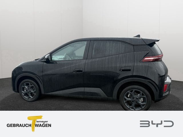 BYD DOLPHIN SURF