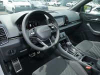 Skoda Karoq - Vorschau Bild 10