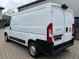 Fiat Ducato Kasten 130 L2H1 Kamera/Standheizung/AHK - Fiat Ducato Gebrauchtwagen