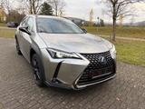 Lexus UX 250h Luxury Line Luxury Line - silberne Lexus UX