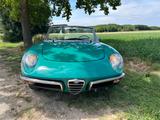 Alfa Romeo Duetto 1300 Junior  - gebrauchte Alfa Romeo Spider aus dem Jahr 1969