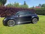Volkswagen Beetle 1.2 TSI DSG BMT SOUND Cabriolet SOUND - VW Beetle Gebrauchtwagen in Bremen