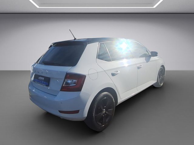 Fabia Style 1.0 TSI DAB+, Klimaautomatik, PDC