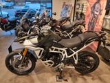 Triumph Tiger 900 Rally  Pro   Aktionspreis!!!