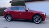 Alfa Romeo Stelvio 2.0 Turbo 16V 206kW First Edition AT... - Alfa Romeo Stelvio First-Edition mit Benzin-Antrieb