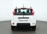 Fiat Panda 1.0 M-Hybrid City Life DAB Klima Bluetooth - Fiat Panda: 1.1