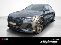 Audi e-tron - Vorschau Bild 13