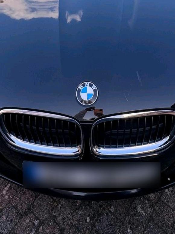 BMW 318 2011 — photo 10