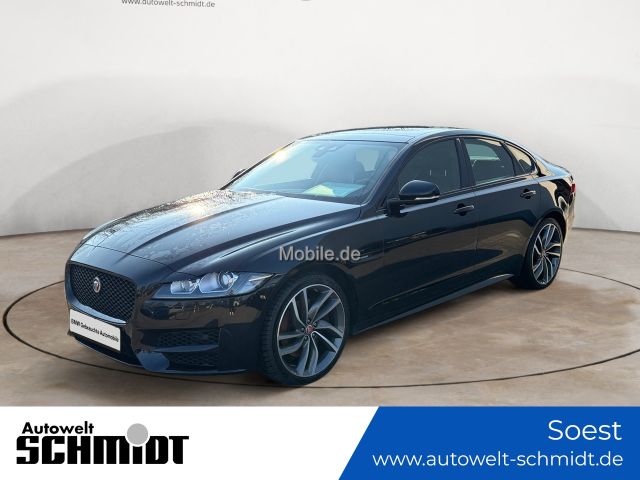 Jaguar XF 30d 300PS R-Sport + 8xbereift + TÜV-05.2025