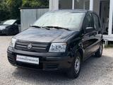 Fiat Panda 1.2 8V Dynamic|5-Türig|TÜV Neu - Fiat Panda: 5.5