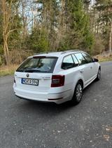 Skoda Octavia 1.6 TDI SCR Active Combi Active - Skoda Octavia Active mit Diesel-Antrieb