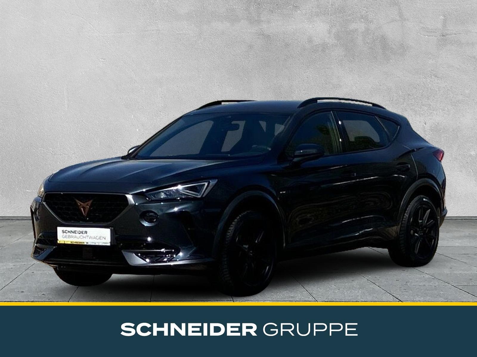 Cupra Formentor 2.0 TSI 4DRIVE DSG KAMERA+STANDHEIZUNG