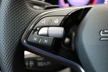 Skoda Kodiaq 1.5 TSI Sportline AHK Matrix elek. Sitz