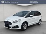 Ford Galaxy 2.0 EcoBlue S&S Aut. TITANIUM - Ford Galaxy in Frankfurt (Main)