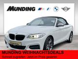 BMW M235i xDrive A Cabrio HK-HiFi|Xenon|RFK|Tempomat - BMW M235 aus 2016
