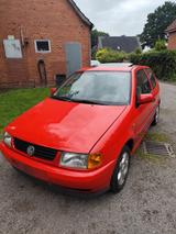 Volkswagen Polo 1.9D Sportline Sportline