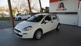Fiat FIAT Punto 1.2 8V 5 porte Young - Fiat Punto: Young