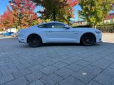 Ford Mustang 5.0 V8 GT RECARO/SHAKER/GRAIL - Ford Mustang in Osnabrück