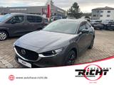 Mazda CX-30 2.0 Homura HUD Totwinkel Navi Kamera - Mazda CX-30 in Stuttgart