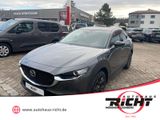 Mazda CX-30 2.0 Homura HUD Totwinkel Navi Kamera - Mazda CX-30 aus 2022