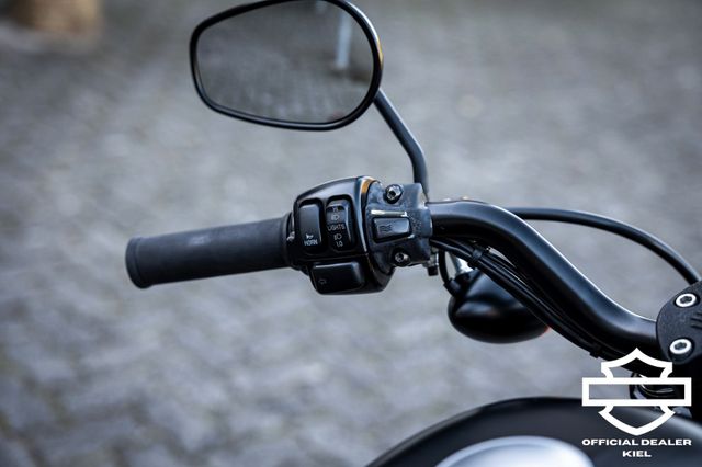 Fahrzeugabbildung Harley-Davidson XL883N SPORTSTER IRON - HEIZGRIFFE - Wartung neu
