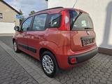 Fiat Panda Lounge* KLIMA* - Fiat: Orange