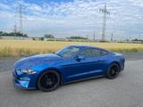 Ford Mustang 5.0 Ti-VCT V8 GT Auto GT - Ford Mustang Gebrauchtwagen in Köln