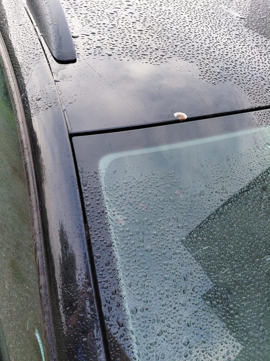Volkswagen Golf 2012 — photo 15