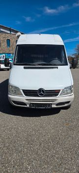 Mercedes-Benz Sprinter Kasten 313 CDI*Tüv Neu*Wohnmobil* - Mercedes-Benz Sprinter aus 2004