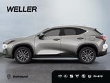 Lexus NX 350h Business Line *Navi*CarPlay*LED*CAM*TWA* - Lexus NX 350h Tageszulassungen
