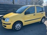 Fiat Panda 1.2 8V MyLive**Klima** - Fiat Panda: Gelb