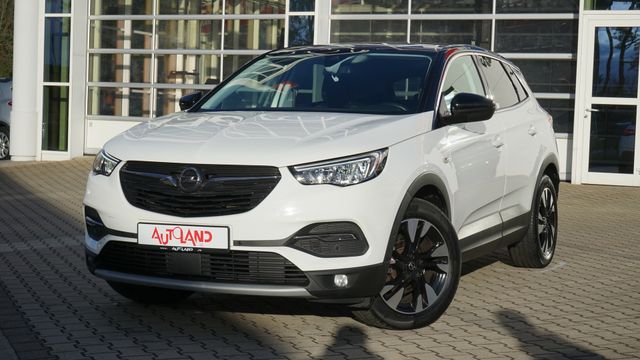 Opel Grandland X 1.5 D AT Winterpaket LED AHK Kamera