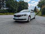 Skoda Octavia 2.0 TDI DSG ACC Business-Paket Combi