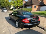 Mercedes-Benz CLK 200 KOMPRESSOR ELEGANCE Elegance - Mercedes-Benz aus 2004: Cabrio, Clk