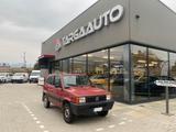 Fiat Panda 1.1 Trekking 4x4 - Fiat Panda TREKKING mit Benzin-Antrieb