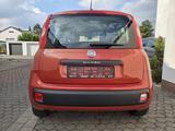 Fiat Panda Lounge* KLIMA* - Fiat: Orange