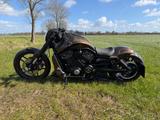 Harley-Davidson Nightrod VRSCDX - HARLEY-DAVIDSON VRSCDX