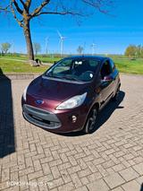 Ford KA 1.2 Titanium - Ford Focus aus 2010: Titanium