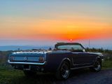 Ford 1964er Mustang Cabrio 260cui V8 Motor - Ford Mustang aus 1965 mit Benzin-Antrieb: Cabrio
