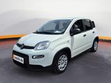 Fiat New Panda Panda Hybrid 1.0 GSE Parksensoren hint - Fiat Panda in Magdeburg
