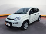 Fiat New Panda Panda Hybrid 1.0 GSE Parksensoren hint - Fiat Panda Gebrauchtwagen in Kassel