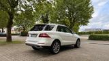 Mercedes-Benz ML 350 | Diesel | TÜV 10/2027 I  - : Mercedes Ml