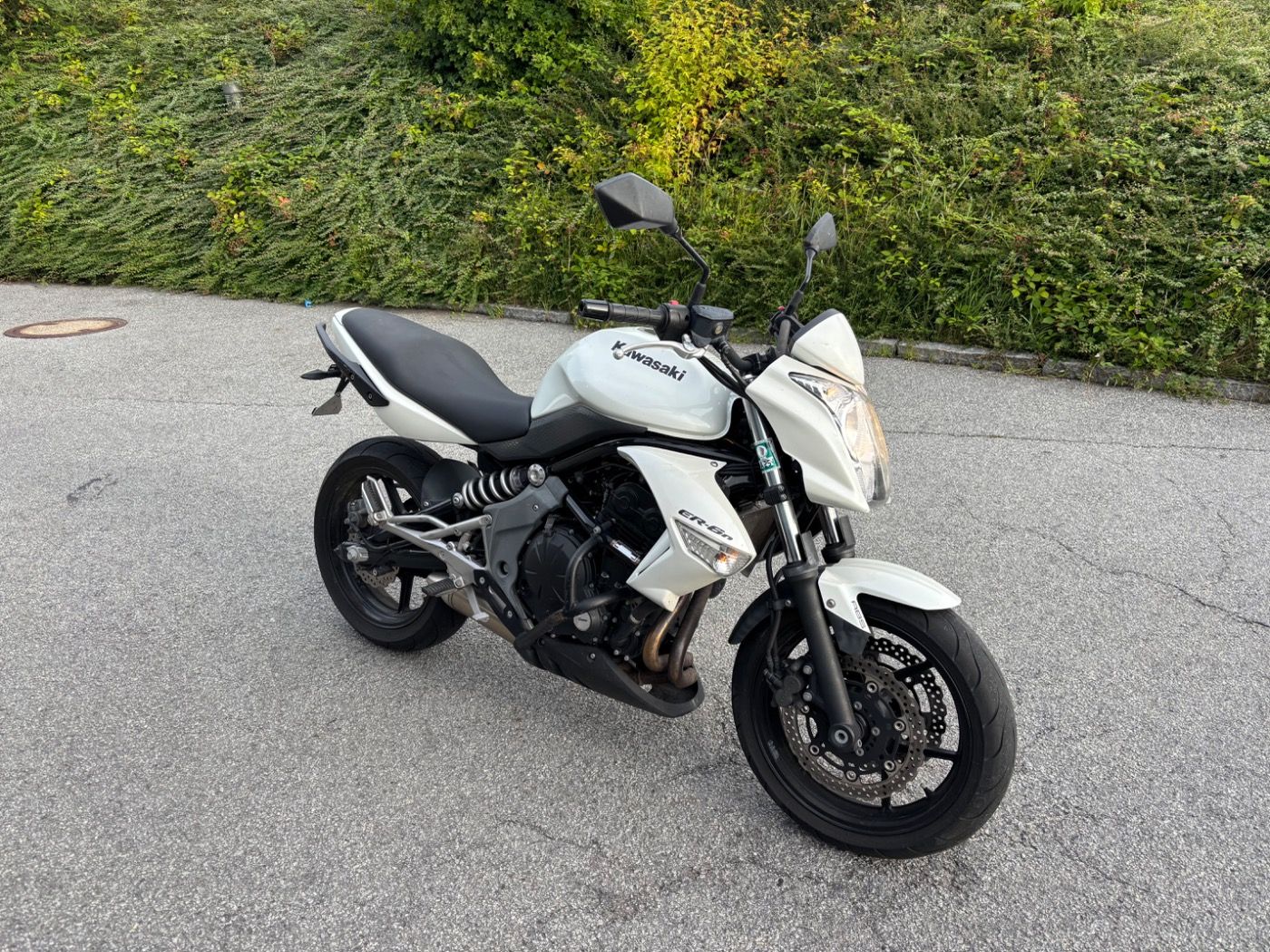 Fahrzeugabbildung Kawasaki ER 6 N ABS