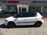 Skoda Fabia Monte Carlo - Skoda Fabia Gebrauchtwagen in Osnabrück
