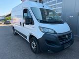 Fiat Ducato -Kühlwagen-minus 17 Grad - Fiat Ducato: Kombi