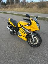 Suzuki GS500F - SUZUKI GS 500